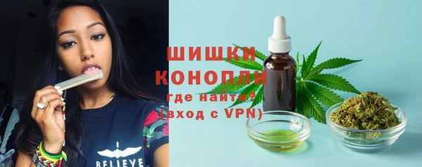 PSILOCYBIN Остров