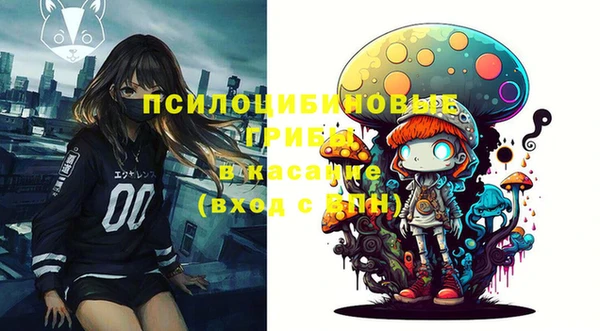 PSILOCYBIN Остров