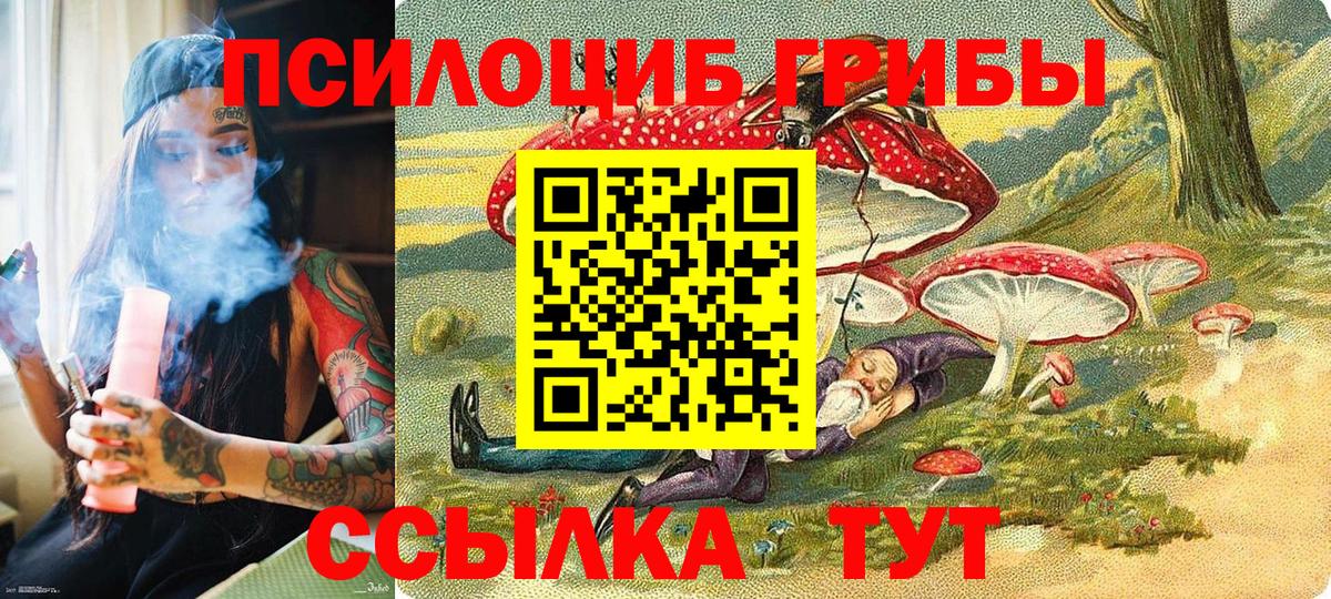 Галлюциногенные грибы GOLDEN TEACHER Сланцы